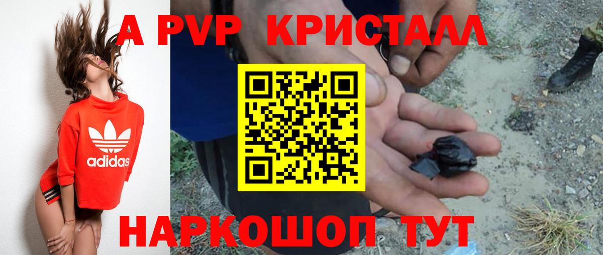 А ПВП крисы CK Чебоксары