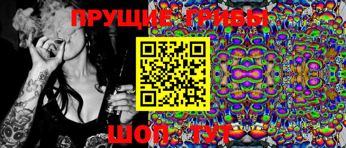 Галлюциногенные грибы Cubensis Чебоксары